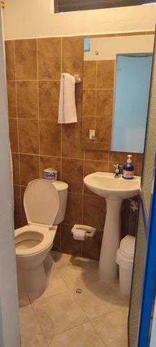 a bathroom with a toilet and a sink at cabaña82 in Puerto Triunfo
