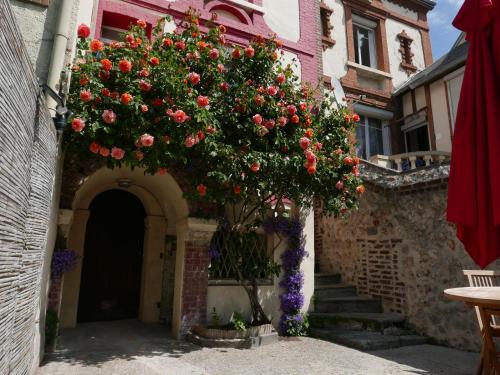 a bunch of flowers hanging from a building at Gite les trois matelots in Fécamp