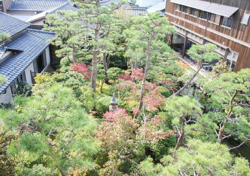 an overhead view of a garden with trees and buildings at Haiya in Awara