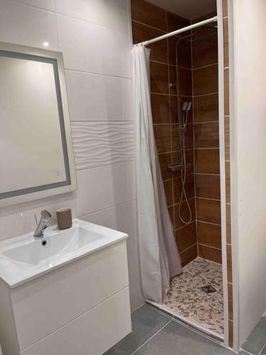 une salle de bain avec une douche et un lavabo et une douche dans l'établissement studio parking privé climatisation plage proche, à La Grande Motte