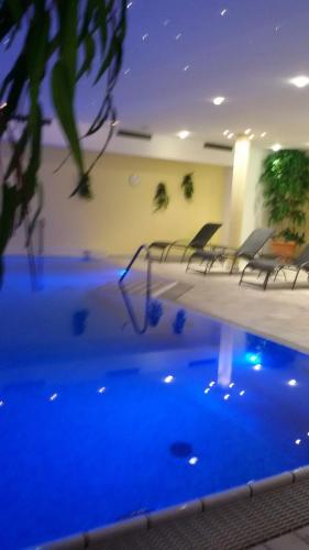 Πισίνα στο ή κοντά στο Hotel Maximilian