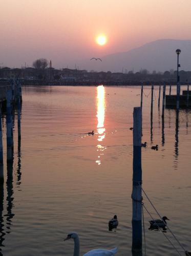 Appartamento monolocale