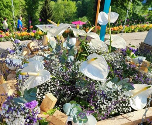 a display of flowers and plants in a garden at Sternstube – Appartement mit traumhaftem Weitblick in Freyung
