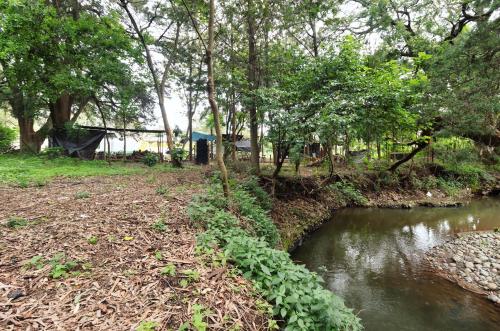 a river with trees and plants next to a field at Arabel's Place Riverside Villas in Nanyuki