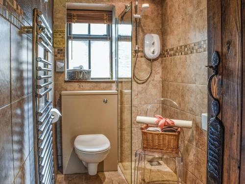 a bathroom with a toilet and a shower at Stoney End Cottage in Askrigg