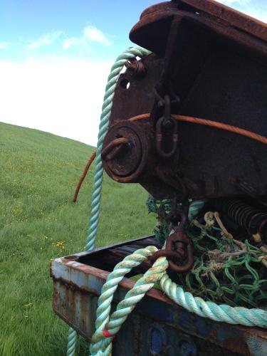 a rope is tied to a boat in a field at Het Huis van de Wadden in Den Oever