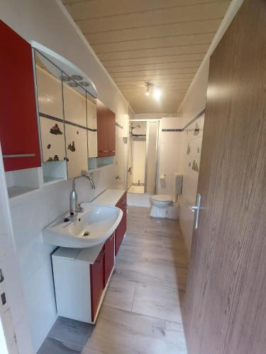 a bathroom with a sink and a toilet at Pension Sternschnuppe, Treseburg Harz, unmittelbar am Wasser in Thale