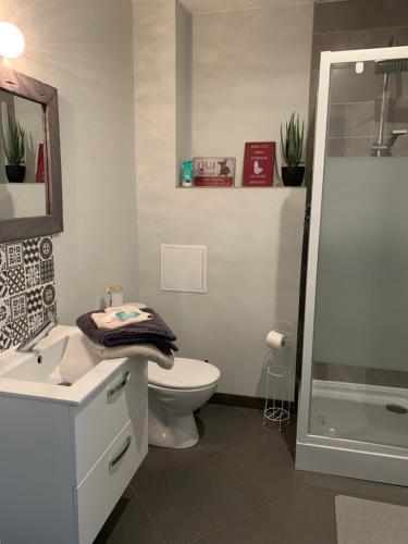 een badkamer met een toilet, een wastafel en een douche bij bienvenue chez nous in Badens
