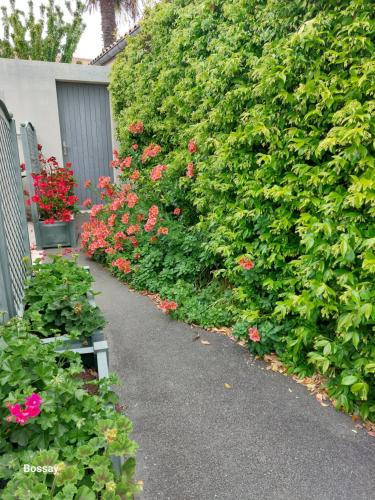 a garden with red flowers and a hedge at L'insulaire Studios in Saint-Denis-dʼOléron