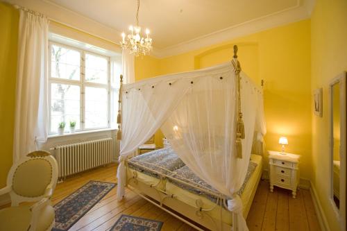 a bedroom with a canopy bed with a chandelier at SchlossHOTELGedern in Gedern