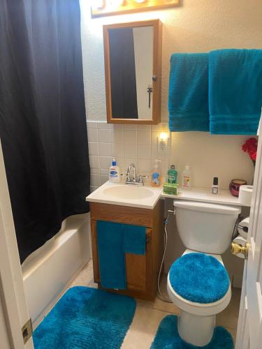 a bathroom with a toilet and a sink with blue rugs at Birdys Nest in Las Vegas