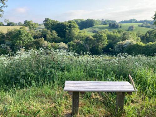 a wooden bench sitting in a field of grass at The Shepherd's Hut with cozy logburner in Wrexham