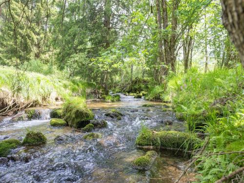 a stream in a forest with rocks and trees at Chalet Schwarzenberg near Ski Lift & Stream in Schwarzenberg am Bohmerwald