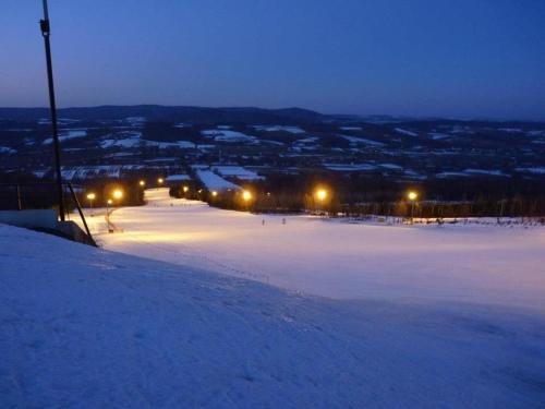 a large snow covered field with lights on it at Domki na Łące in Gogołów