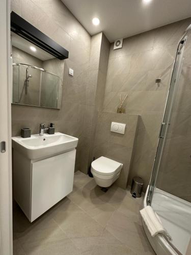 een badkamer met een toilet, een wastafel en een douche bij Studio Apartman Dalia in Budva