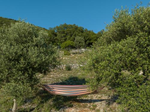 Φυσικό τοπίο κοντά σε αυτό το διαμέρισμα