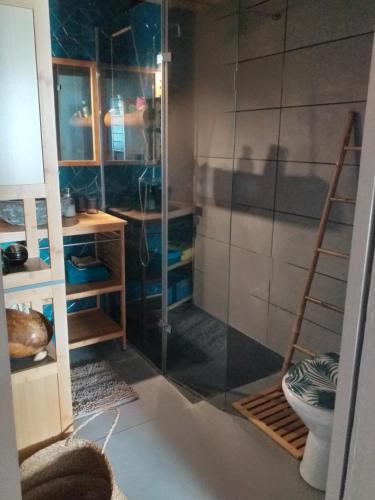 La salle de bains est pourvue d'une douche avec une porte en verre. dans l'établissement RÊV BOR D'MER, à Étang-Salé les Bains