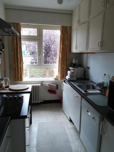 cocina con armarios blancos, fregadero y ventana en Merxotio en Ghent