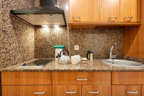 a kitchen with a sink and a counter top at Apartments Sata Park Guell Area in Barcelona