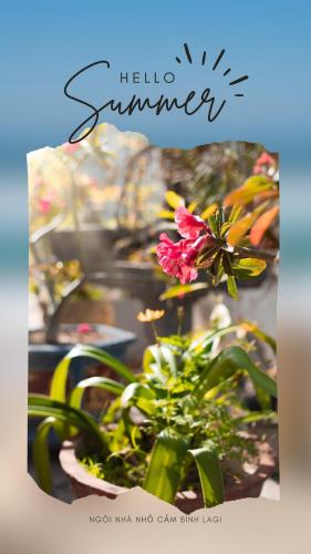 a sign that says hello summer with a pink flower at Ngôi nhà nhỏ Lagi Homestay in La Gi