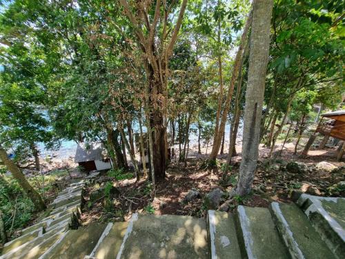 a set of concrete steps in a forest with trees at Treetop Guesthouse and Bungalows in Sabong