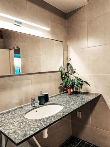 a bathroom with a sink and a mirror at Mõnus olemine Tõrva südames in Tõrva