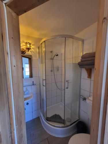 a bathroom with a shower and a sink at Hotel Schleimünde in Kappeln