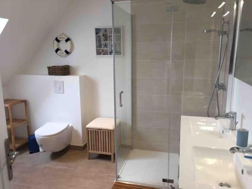 une salle de bain avec douche et toilettes dans l'établissement Maison de vacances à Carantec centre - 4 chambres, à Carantec