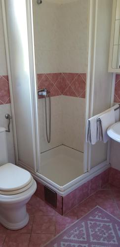 a bathroom with a shower with a toilet and a sink at Apartments Vlasta in Karlobag