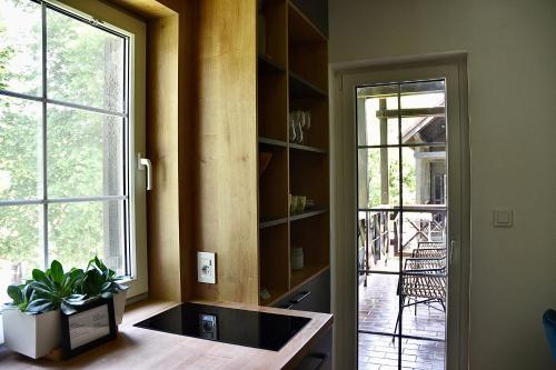 a kitchen with a window and a table with a plant at Olimian Oasis Village Lipa 107 in Podčetrtek