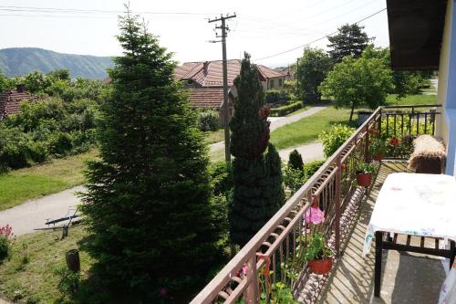 a balcony with two christmas trees in a yard at Etnobubi in Novi Sip