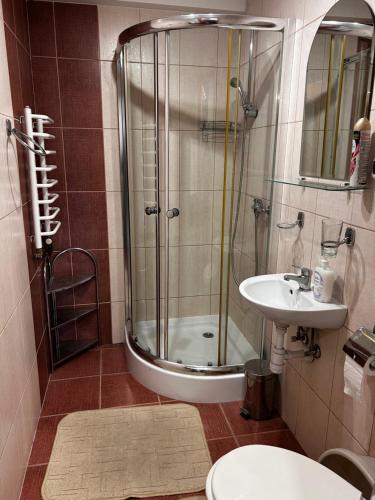 W łazience znajduje się prysznic i umywalka. w obiekcie Nad Grajcarkiem Pieniny w mieście Szczawnica