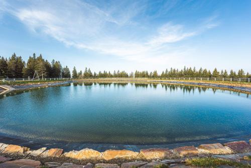 a large pond of water with trees in the background at POHORJE HOUSE 2 FOUR APPARTMETNS in Oplotnica
