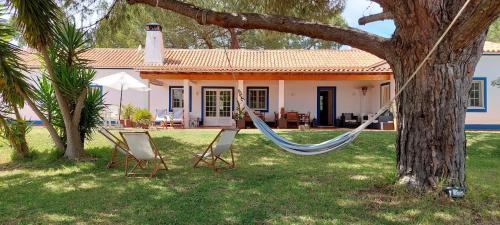 a hammock in the yard of a house at Monte do Pinheirinho in São Domingos