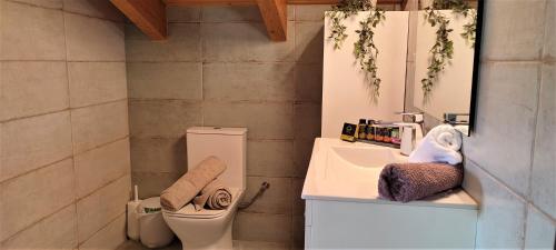 a bathroom with a toilet and a sink and a mirror at Villa ArGia with private pool in Georgioupoli