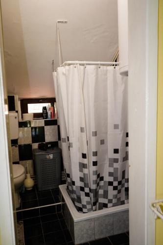 a bathroom with a toilet and a shower curtain at Etnobubi in Novi Sip