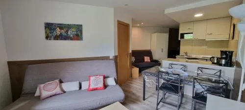 Apartamentos Grifo Vacances Grizzly picture