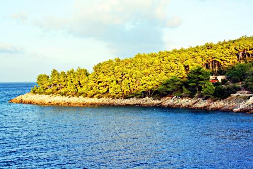 an island in the middle of a body of water at Apartments Sunset in Blato
