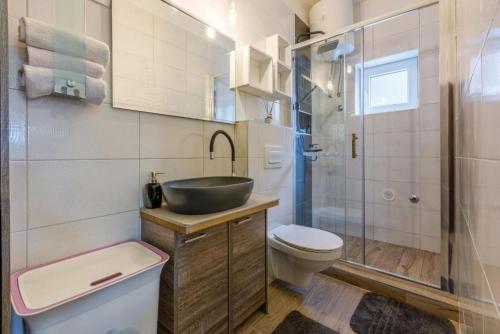 een badkamer met een wastafel, een toilet en een douche bij Apartman Draga in Dramalj