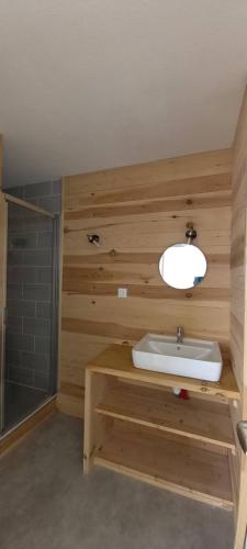 une salle de bain avec un lavabo et une douche dans l'établissement Appartements et studios dans un gite au pied des pistes, à La Mongie