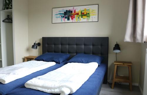 2 camas con almohadas azules en un dormitorio en Chalet Aleblie, en Susteren