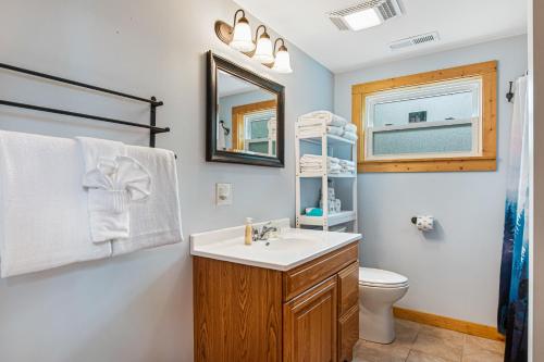 a bathroom with a sink and a toilet and a mirror at Moe's Vineyard - Cabin in Necedah