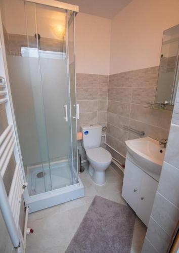 a bathroom with a shower and a toilet and a sink at Studio zona Țiglina Flori in Galaţi