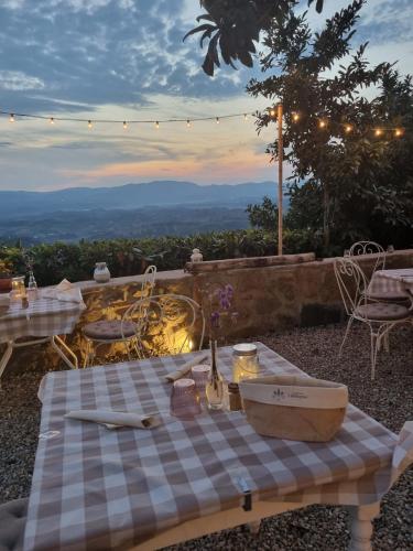 a picnic table with a view of the mountains at Agriturismo I Millepini in Case Malva