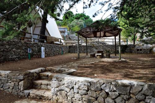 Taman di luar Camping TajoRodillo