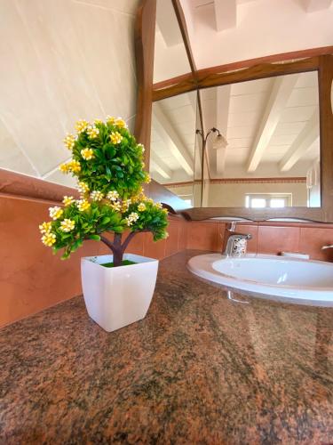 a bathroom with a sink and a potted plant at Case vacanze Azzurra in Marina di Camerota