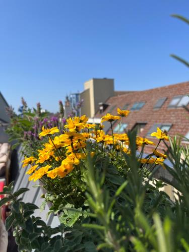 Φωτογραφία από το άλμπουμ του Hostel Mannheim στο Μάνχαϊμ