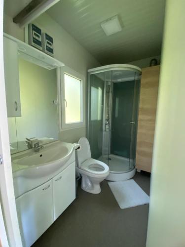 W łazience znajduje się umywalka, toaleta i prysznic. w obiekcie Metkina Hiška 