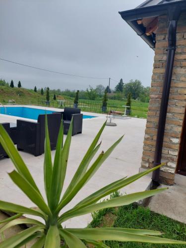 a plant in front of a swimming pool at Imanje sa bazenom in Obrenovac