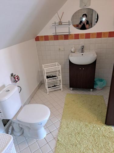 a bathroom with a toilet and a sink and a mirror at Apartamentai Tigro guolis Rusnėje in Rusnė